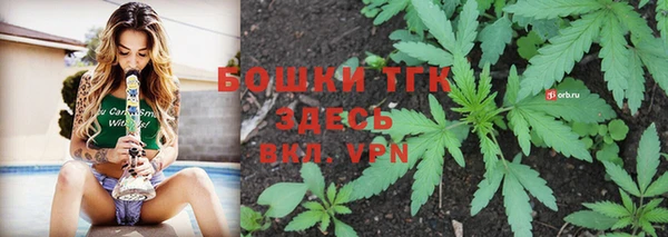 сатива Абаза